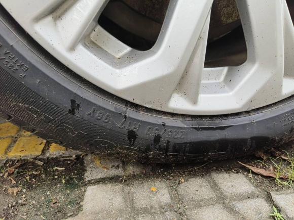 [广州·粤A] 二手奥迪奥迪A4L2019款 40 TFSI 进取型 国VI