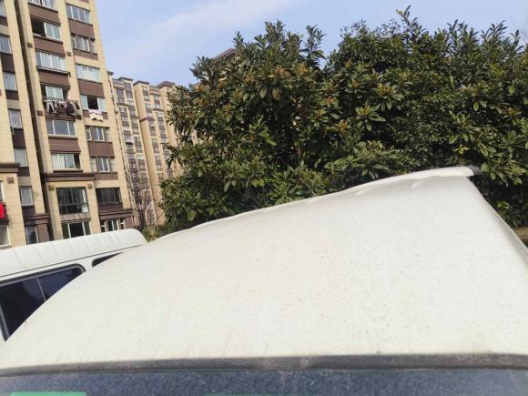 [南通·苏F] 二手金杯新海狮X30L2019款 1.5L财富版国VI SWC15M