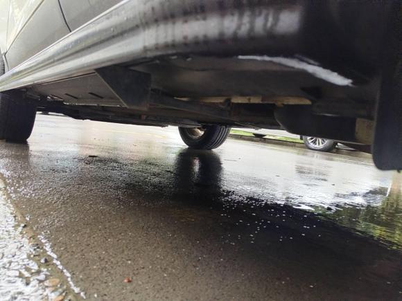 [上海·浙A] 二手福特翼搏2013款 1.5L 自动风尚型