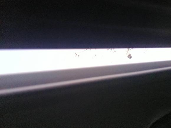 [嘉兴·浙F] 二手丰田凯美瑞2019款 2.0S 锋尚版 国VI