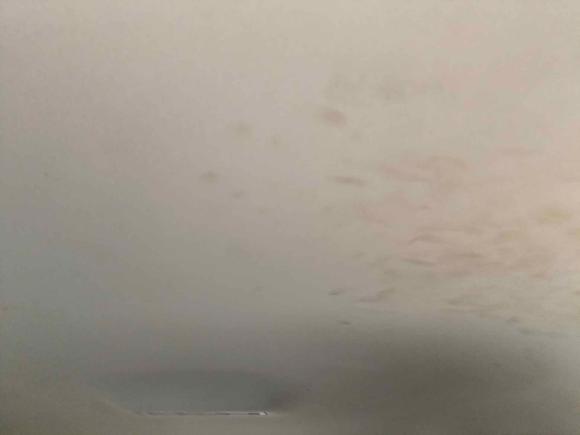 [青岛·鲁U] 二手大众宝来2019款 宝来·传奇 1.5L 手动时尚型 国VI