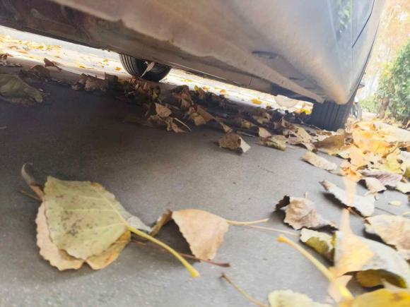 [青岛·鲁B] 二手起亚起亚K32013款 1.6L 自动GL