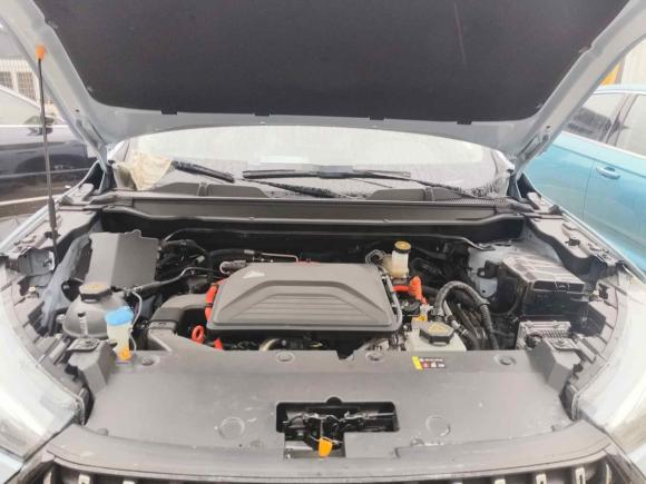 [武汉·鄂A] 二手哈弗哈弗赤兔2022款 1.5L DHT王者兔