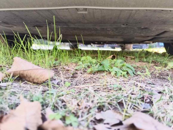 [上海·沪E] 二手奥迪奥迪A4L2015款 30 TFSI 自动舒适型