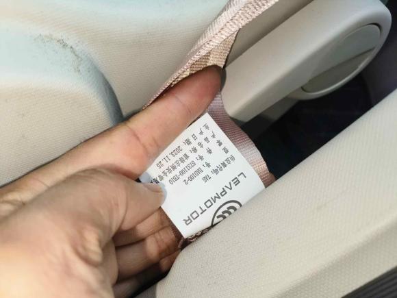 [南通·苏F] 二手零跑汽车零跑T032023款 200轻享版