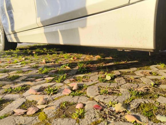 [上海·沪F] 二手宝马宝马3系2017款 320Li 时尚型