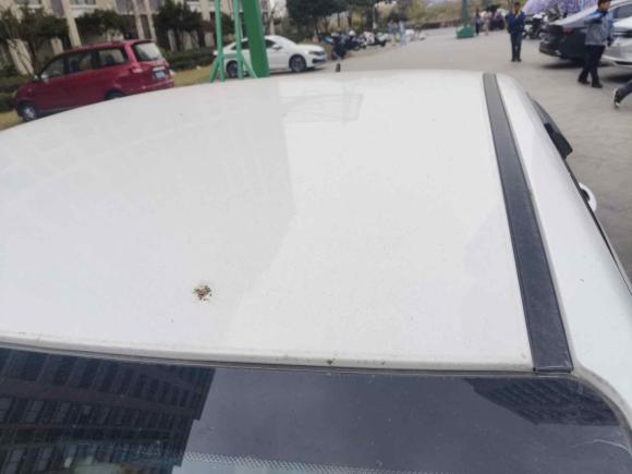 [金华·晋M] 二手奇瑞艾瑞泽52021款 PRO 1.5L 手动青春版