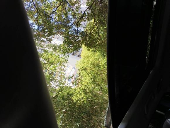 [上海·沪A] 二手福特翼虎2013款 2.0L GTDi 四驱运动型