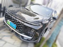 [杭州·浙A]捷途山海&nbsp;&nbsp;捷途山海L9&nbsp;&nbsp;2024款 1.5TD 2DHT 行政版 5座