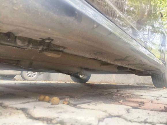 [宁波·浙B] 二手铃木雨燕2011款 1.5L 手动运动影音版