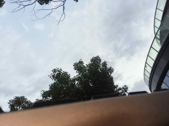 [宁波·浙B] 二手奥迪奥迪A4L2017款 40 TFSI 进取型