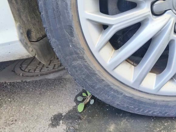 [苏州·苏E] 二手奥迪奥迪A32015款 Limousine 35 TFSI 百万纪念智领型