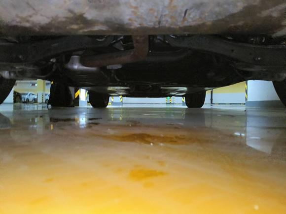 [济南·鲁A] 二手大众T-ROC探歌2024款 300TSI DSG两驱星光版