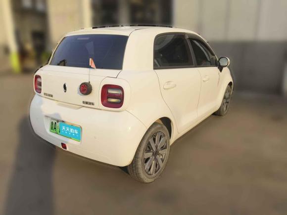 [济南·鲁A] 二手欧拉欧拉黑猫2021款 351km 标准型