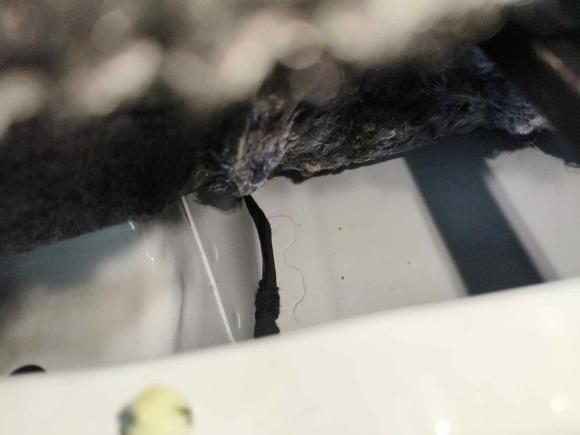 [武汉·鄂A] 二手大众捷达2017款 1.5L 自动舒适型
