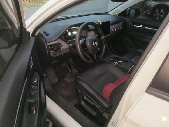 [温州·浙C] 二手威马汽车威马E.52021款 400 即客行