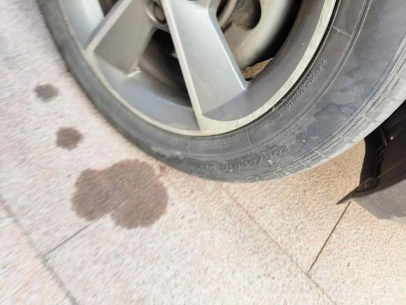 [青岛·鲁B] 二手斯柯达明锐2016款 1.6L 自动智行版