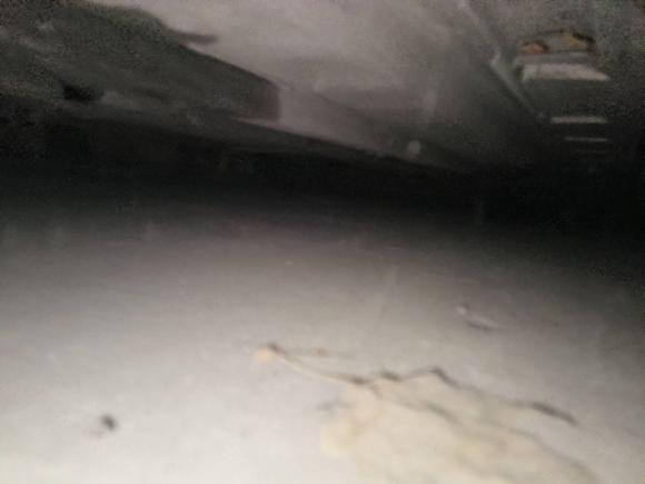 [温州·浙C] 二手日产天籁2011款 2.5L XL荣耀版