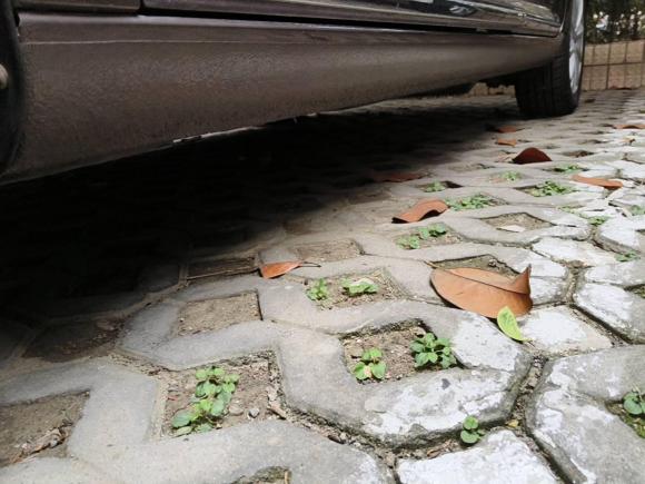 [上海·鄂F] 二手大众途安2013款 1.4T DSG睿智版5座