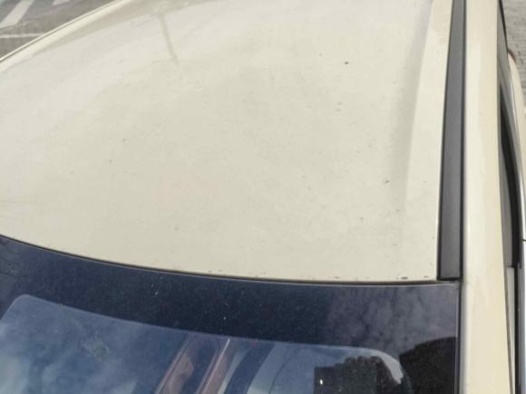 [湖州·浙E] 二手五菱汽车五菱缤果2025款 333km 悦享款