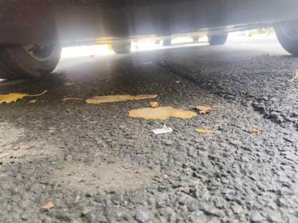 [南京·苏A] 二手特斯拉Model Y2023款 后轮驱动版