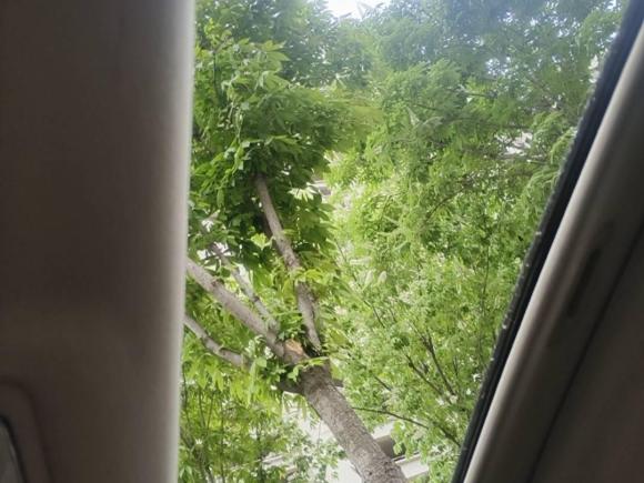 [西安·陕A] 二手现代悦动2011款 1.6L 自动豪华型