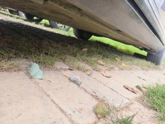 [武汉·鄂A] 二手大众迈腾2013款 1.8TSI 领先型