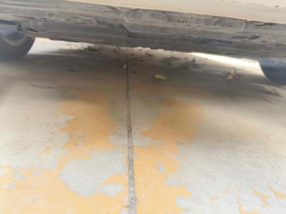 [西安·陕U] 二手本田型格2022款 240TURBO CVT豪华版