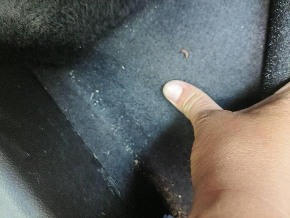 [合肥·皖A] 二手别克威朗2023款 Pro 乐逸版