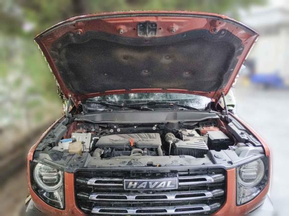 [深圳·赣C] 二手哈弗哈弗大狗2021款 1.5T DCT两驱拉布拉多版