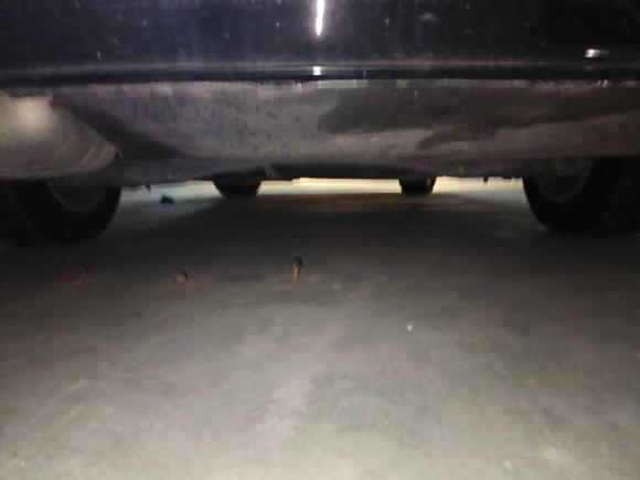 [温州·浙C] 二手大众迈腾2019款 280TSI DSG 舒适型 国V