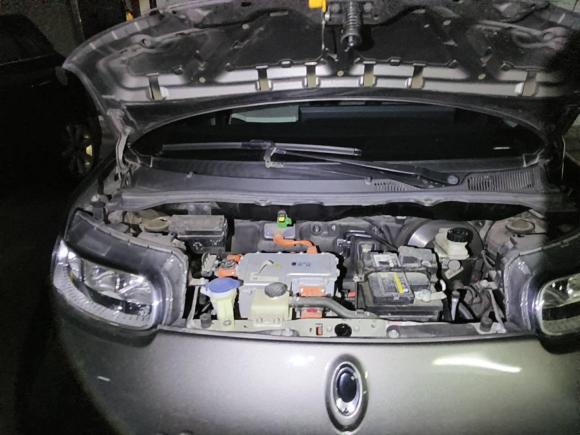 [上海·沪A] 二手欧拉欧拉白猫2020款 360km 豪华型