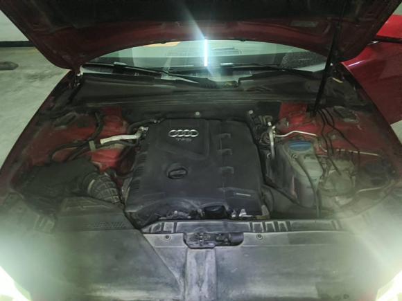 [济南·鲁A] 二手奥迪奥迪A4L2010款 2.0 TFSI 技术型