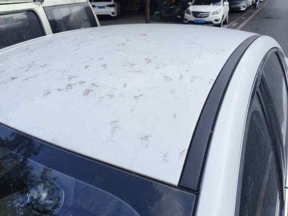 [成都·川A] 二手比亚迪秦PLUS2024款 荣耀版 EV 420KM领先型