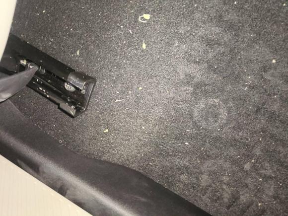 [宁波·浙B] 二手firefly萤火虫firefly萤火虫2025款 发光版