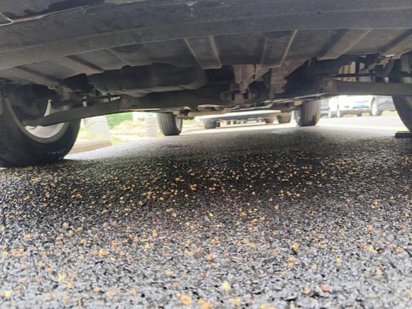 [武汉·鄂A] 二手北京汽车北京X32019款 1.5L 手动荣耀版