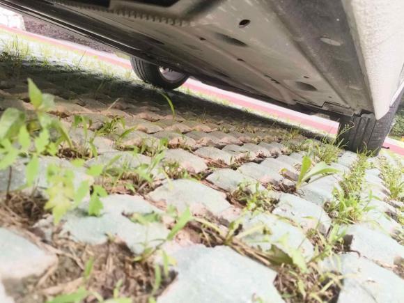 [嘉兴·浙F] 二手奥迪奥迪A32019款 Sportback 40 TFSI 风尚型 国VI