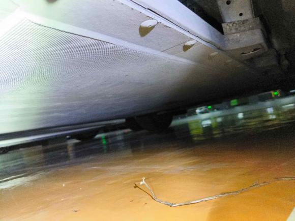 [温州·浙C] 二手比亚迪海豚2021款 405km 时尚版