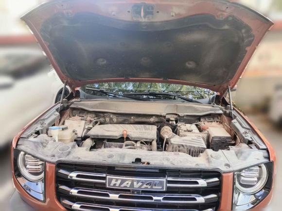 [合肥·皖A] 二手哈弗哈弗大狗2021款 1.5T DCT两驱拉布拉多版