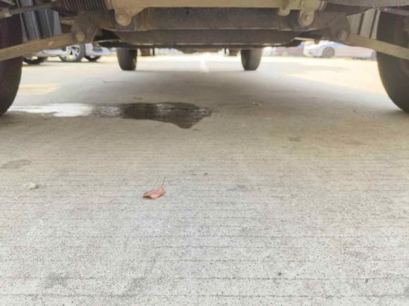 [苏州·苏E] 二手开瑞海豚EV2021款 基础版智享型