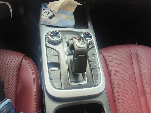 [杭州·浙A] 二手坦克坦克3002024款 330 3.0T V6