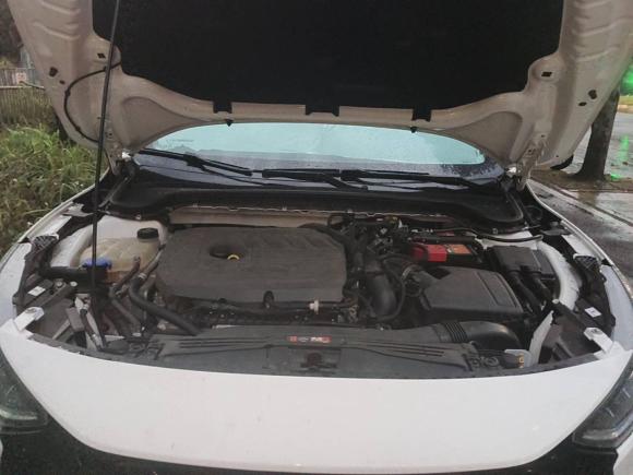 [深圳·桂K] 二手福特福克斯2022款 两厢 EcoBoost 180 自动ST Line