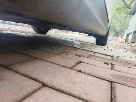 [苏州·苏E] 二手MINIMINI2015款 1.5T COOPER Fun 五门版