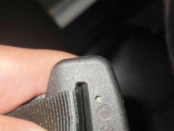 [嘉兴·浙F] 二手福特福睿斯2019款 改款 1.5L 自动质享型 国VI