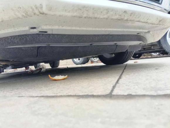 [上海·辽A] 二手本田竞瑞2017款 1.5L CVT风尚版