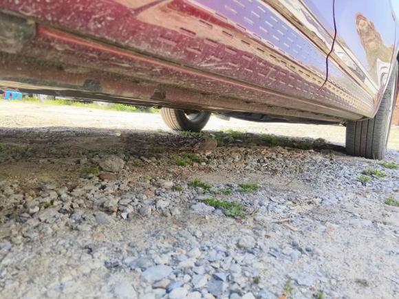 [上海·沪C] 二手本田歌诗图2012款 2.4L 尊享版