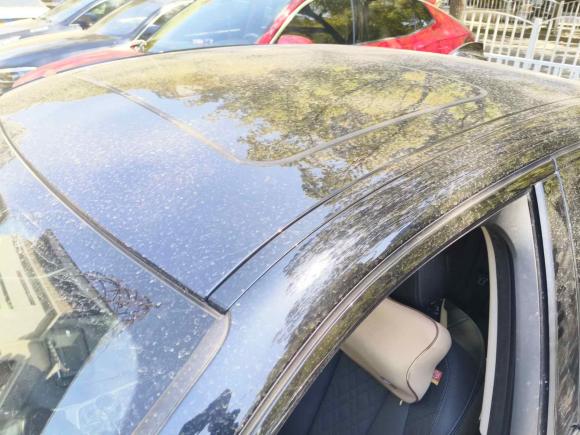 [上海·沪K] 二手宝马宝马3系2022款 330i M运动曜夜套装