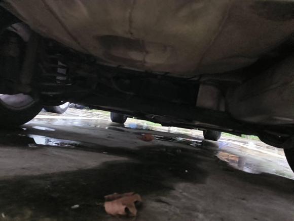 [合肥·皖A] 二手福特福睿斯2015款 1.5L 手动时尚型