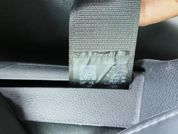 [常州·苏D] 二手红旗红旗H92020款 2.0T 智联旗畅版