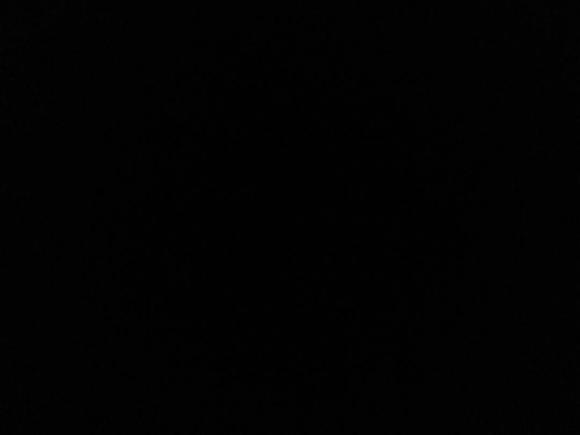 [宁波·浙B] 二手坦克坦克3002021款 越野版 2.0T 征服者